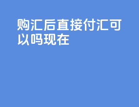 购汇后直接付汇可以吗现在