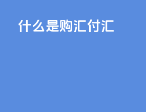 什么是购汇付汇
