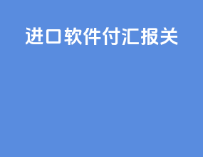 进口软件付汇报关