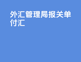 外汇管理局报关单付汇