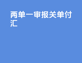 两单一审报关单付汇