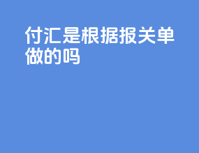 付汇是根据报关单做的吗
