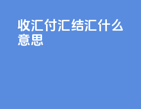 收汇付汇结汇什么意思