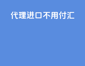 代理进口 不用付汇