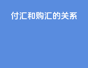 付汇和购汇的关系