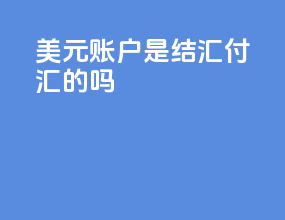 美元账户是结汇付汇的吗