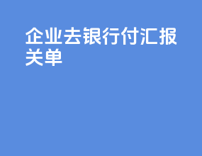 企业去银行付汇 报关单