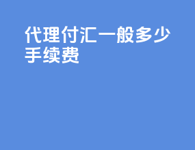 代理付汇一般多少手续费