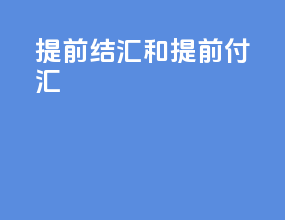 提前结汇和提前付汇