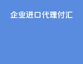 企业 进口 代理付汇