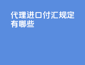 代理进口付汇规定有哪些