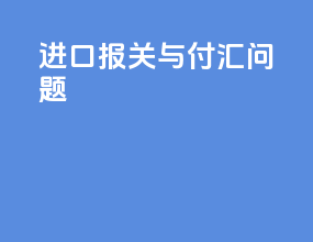 进口报关与付汇问题