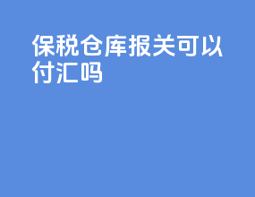 保税仓库报关可以付汇吗
