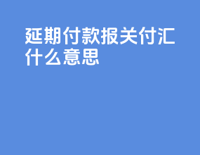 延期付款报关付汇什么意思