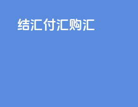 结汇付汇购汇
