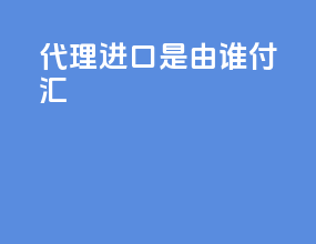 代理进口是由谁付汇