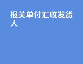 报关单 付汇 收发货人