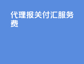 代理报关付汇服务费