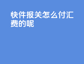 快件报关怎么付汇费的呢