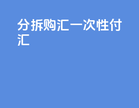 分拆购汇一次性付汇