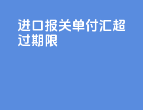 进口报关单付汇超过期限
