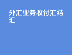 外汇业务收付汇 结汇