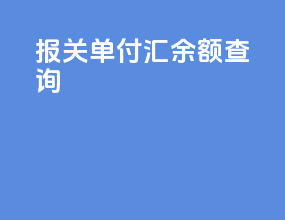 报关单付汇余额查询