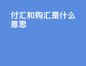 付汇和购汇是什么意思
