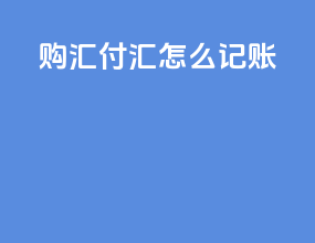 购汇付汇怎么记账