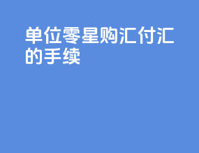 单位零星购汇付汇的手续