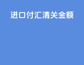 进口 付汇 清关 金额