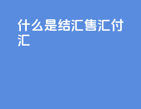 什么是结汇 售汇 付汇