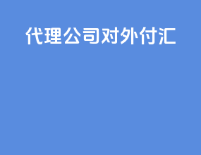 代理公司 对外付汇
