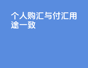 个人购汇与付汇用途一致