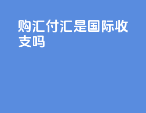 购汇付汇是国际收支吗