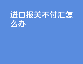 进口报关不付汇怎么办