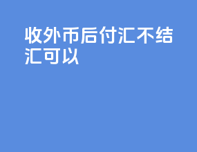 收外币后付汇不结汇可以