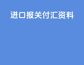 进口报关付汇资料