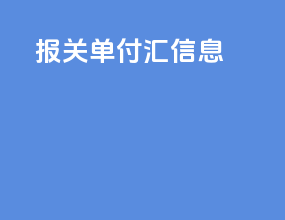 报关单付汇信息