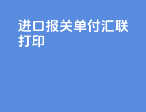 进口报关单付汇联打印