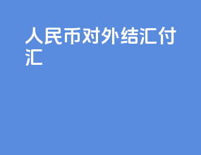 人民币对外结汇付汇