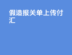 假造报关单上传付汇