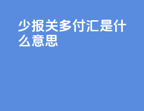 少报关多付汇是什么意思