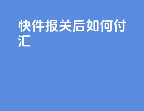 快件报关后如何付汇