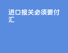 进口报关必须要付汇