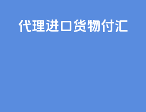 代理进口货物付汇