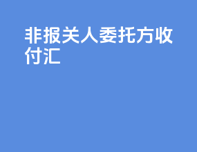 非报关人委托方收付汇