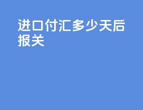 进口付汇多少天后报关