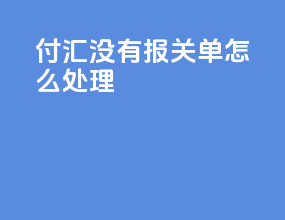 付汇没有报关单怎么处理
