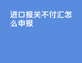 进口报关不付汇怎么申报